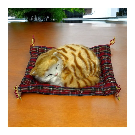Minderde Uyuyan Tatlı Patiler Kedi