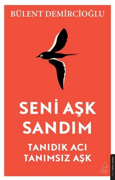 Seni Aşk Sandım