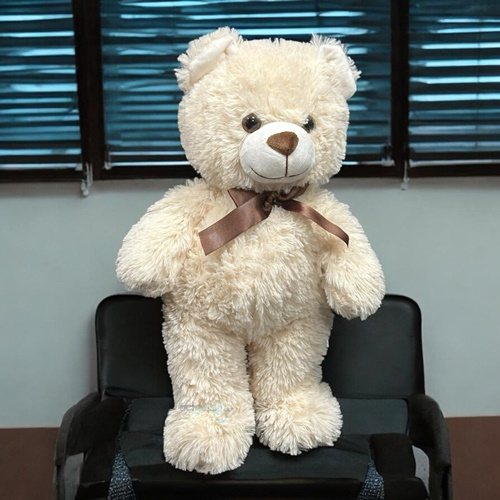 Sevimli Ayı Peluş Oyuncak 75 Cm