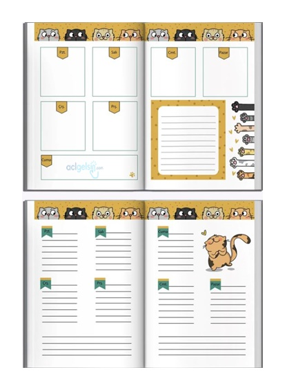 Thinkbook Zamansız Kedi Kitaplık Zamansız Ajanda