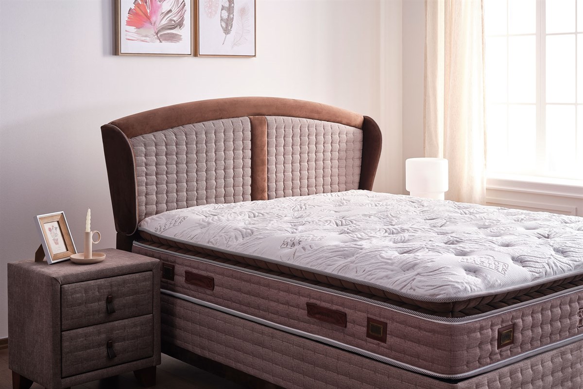 Cotton Master BaşlıkBambi BaşlıkCotton Master Başlık