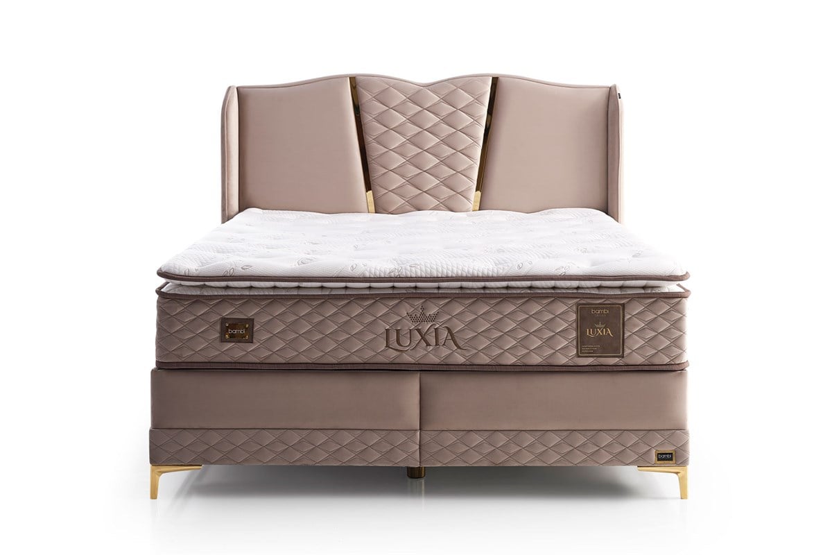 Luxia BaşlıkBambi BaşlıkLuxia Başlık