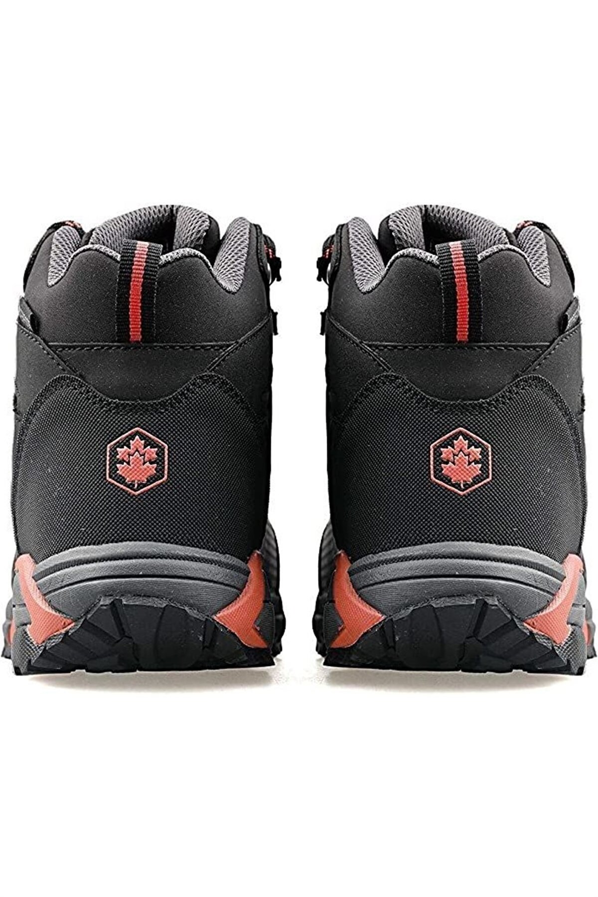 2W Fest Hi 2Pr