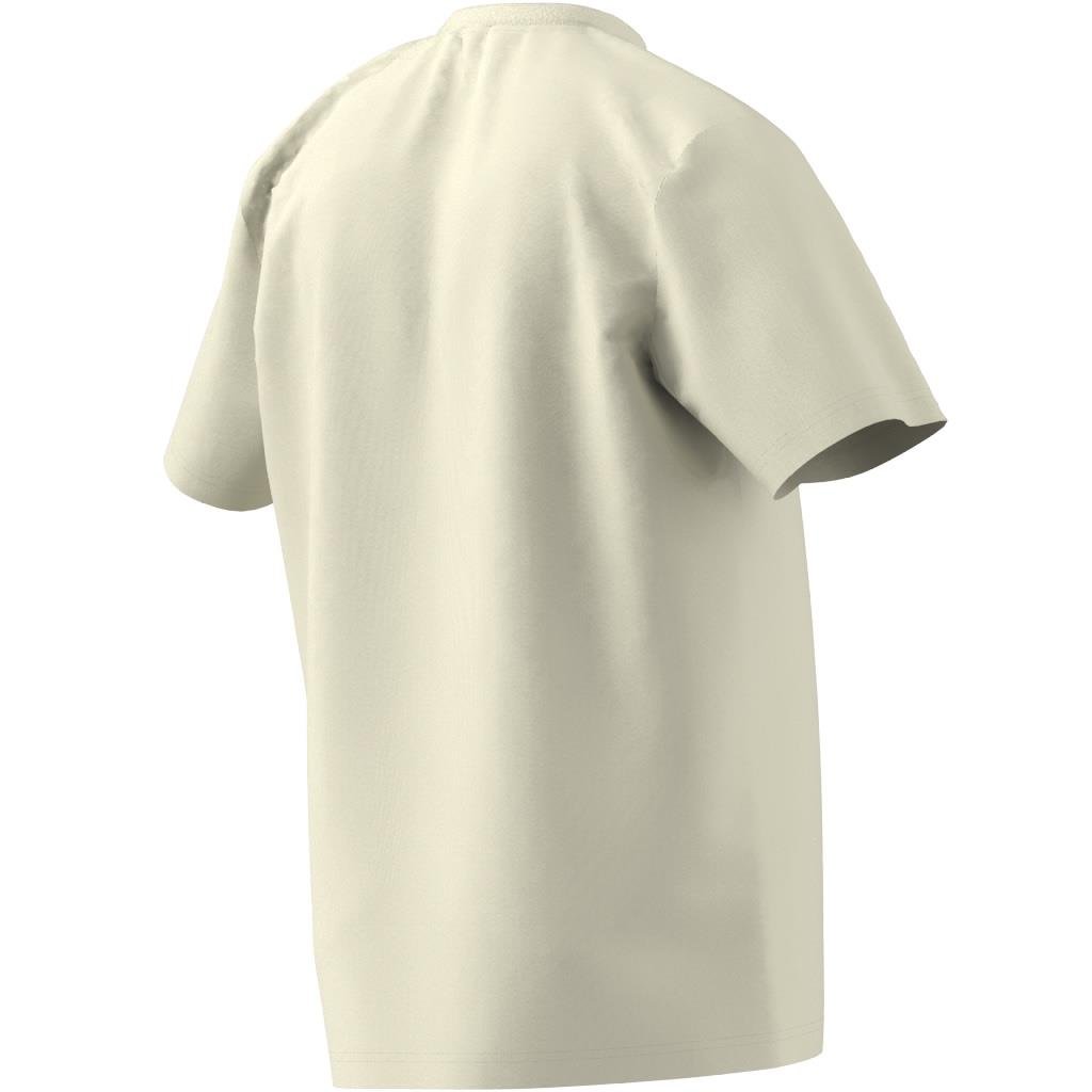 Adidas Wwh Global G T Erkek T-shirt