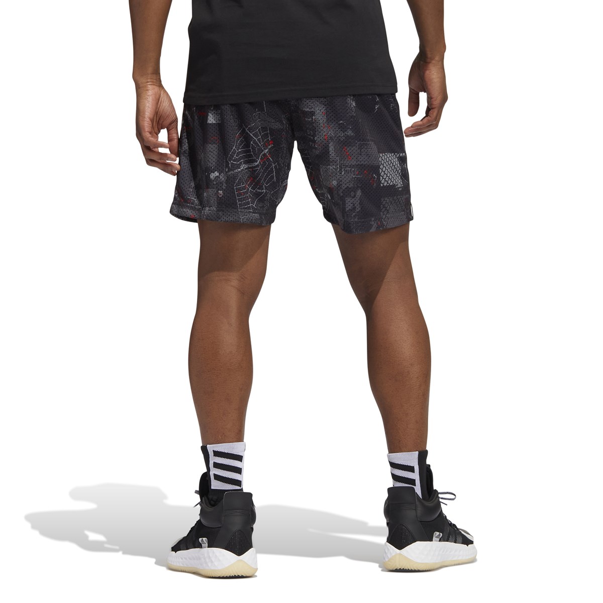 Dame Dolla Rv S