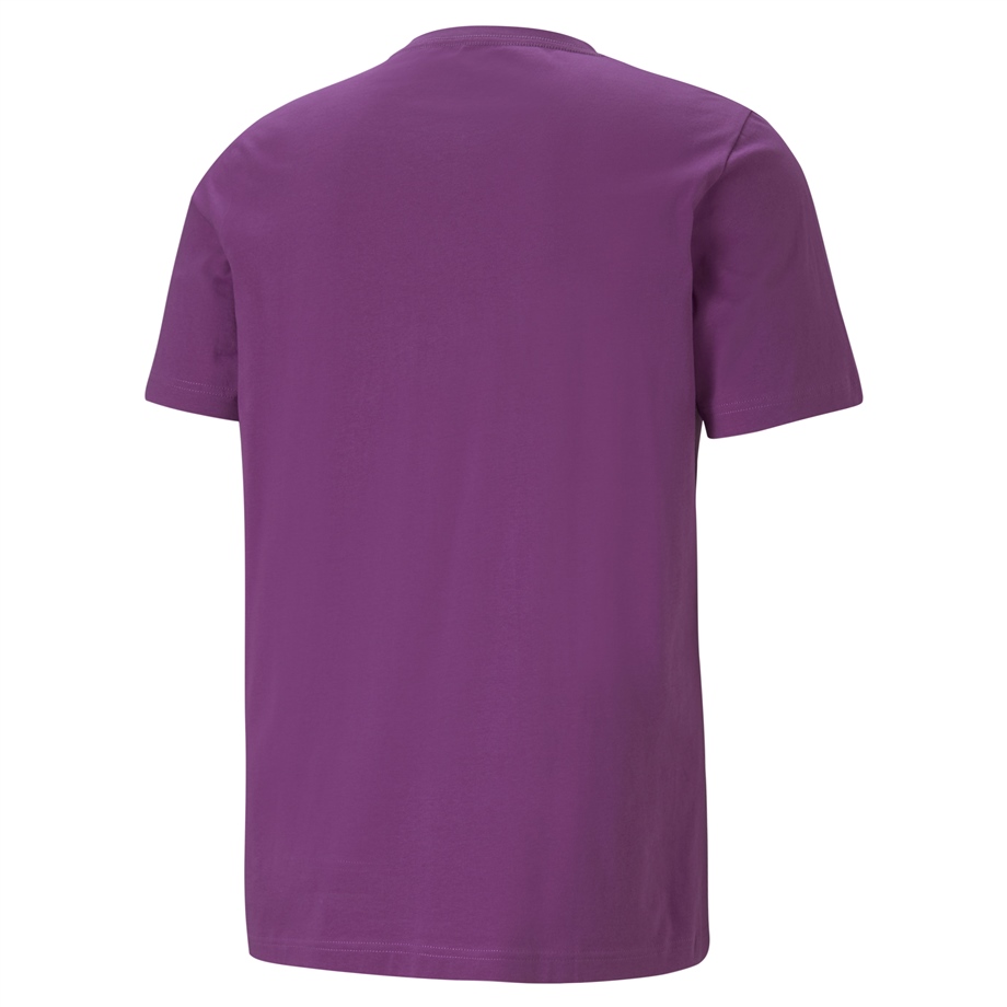 ESS Logo Tee (s) Byzantium