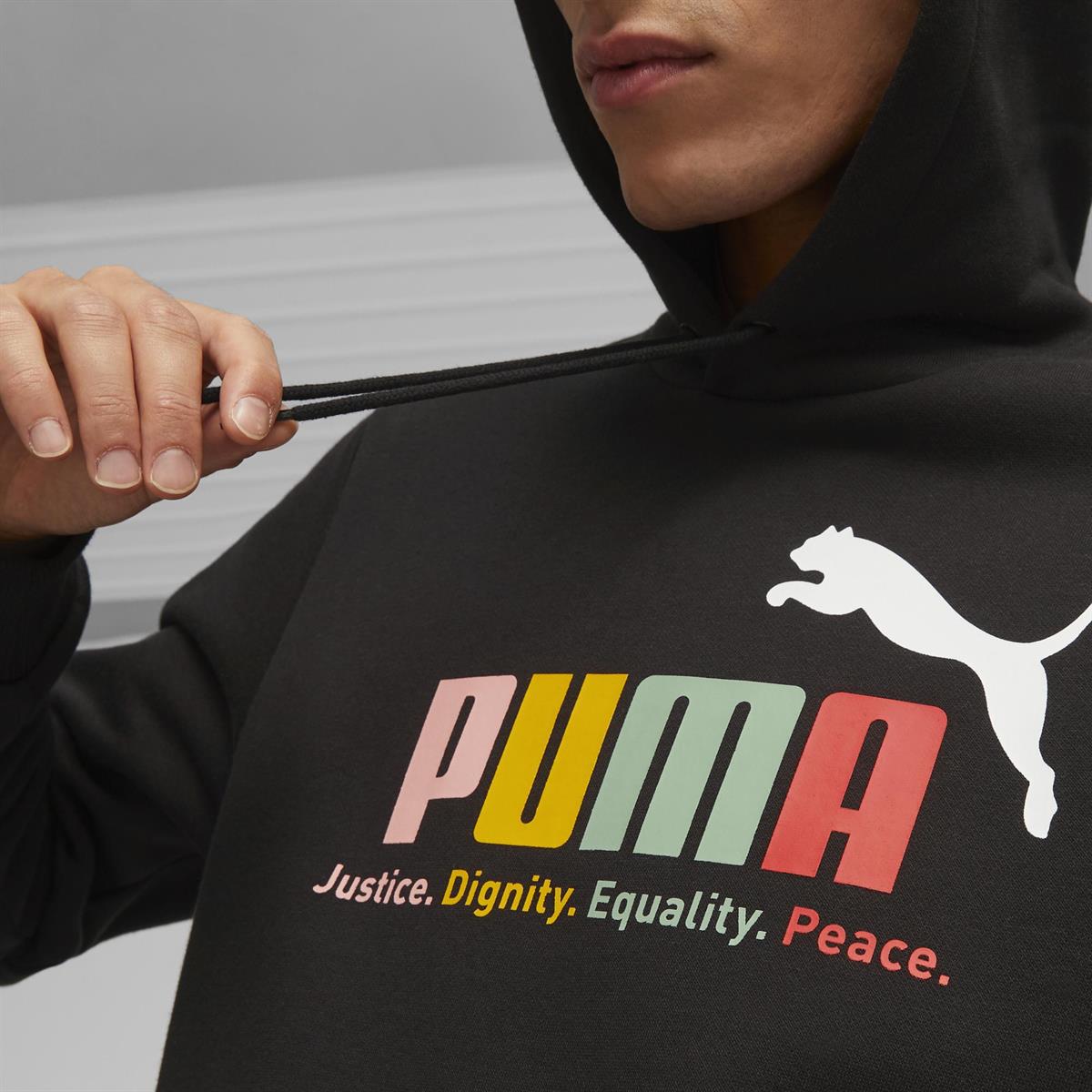 Ess+ Multicolor Hoodie Fl Erkek Sweatshirt