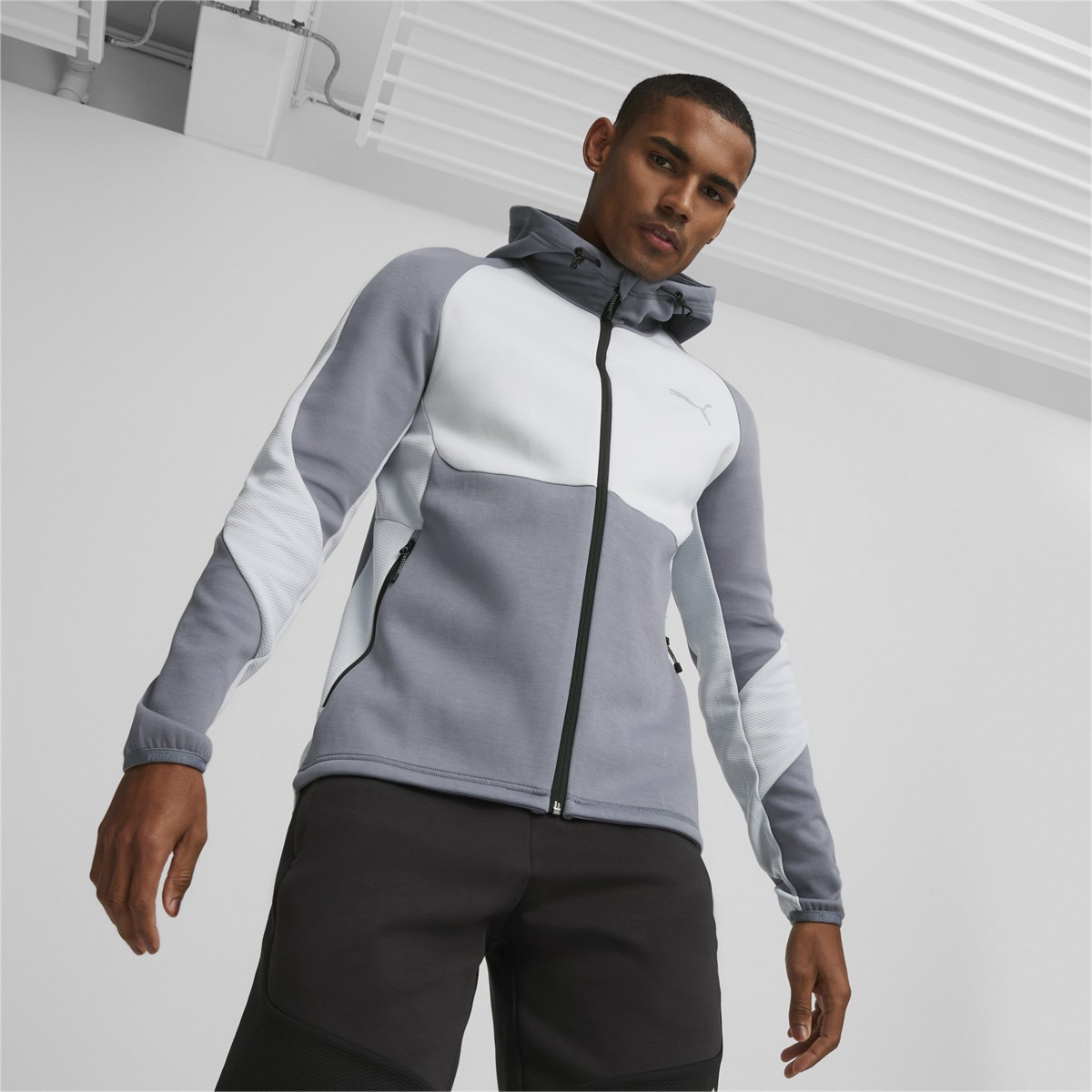 Evostripe Full-Zip Hoodie Dk