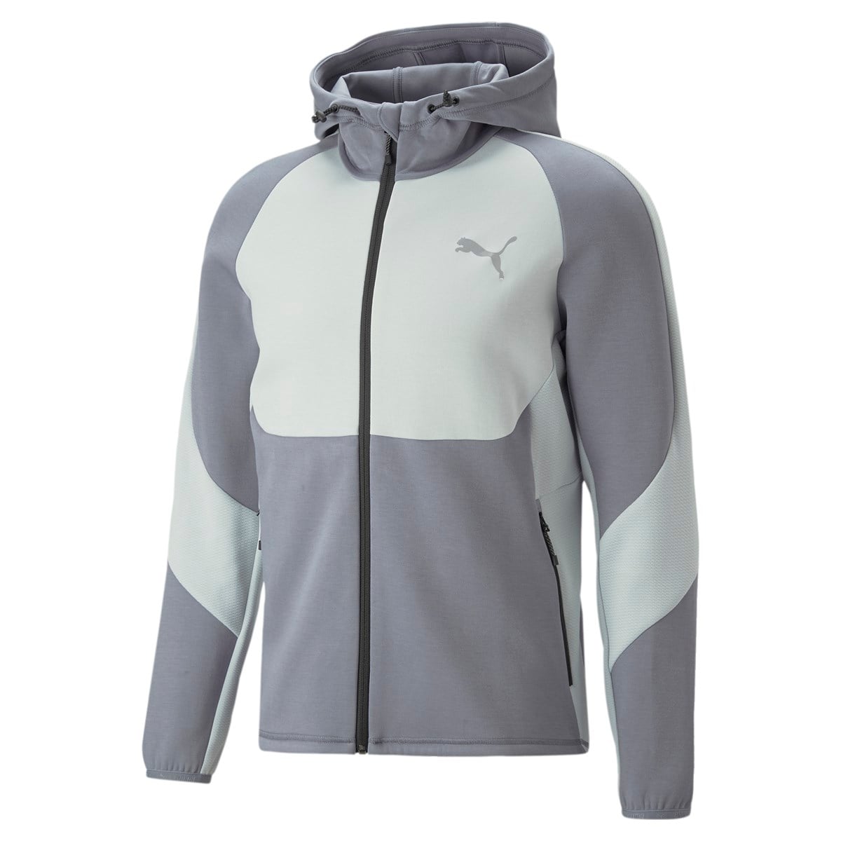 Evostripe Full-Zip Hoodie Dk