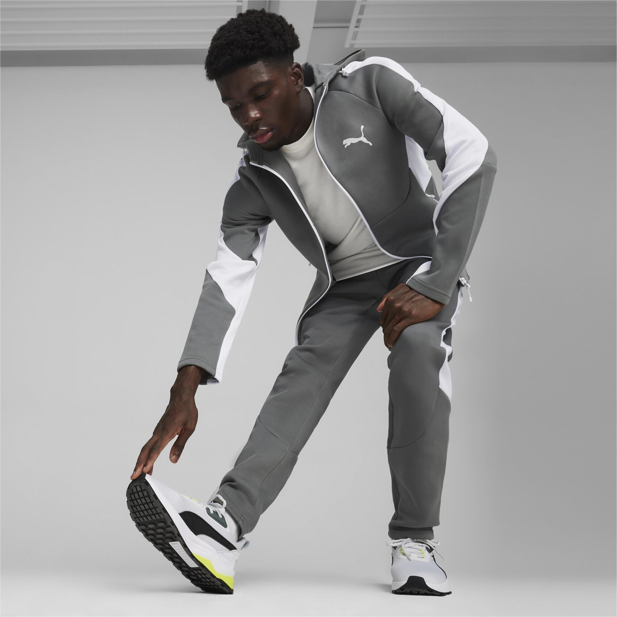 Evostripe Full-Zip Hoodie Erkek Sweatshirt