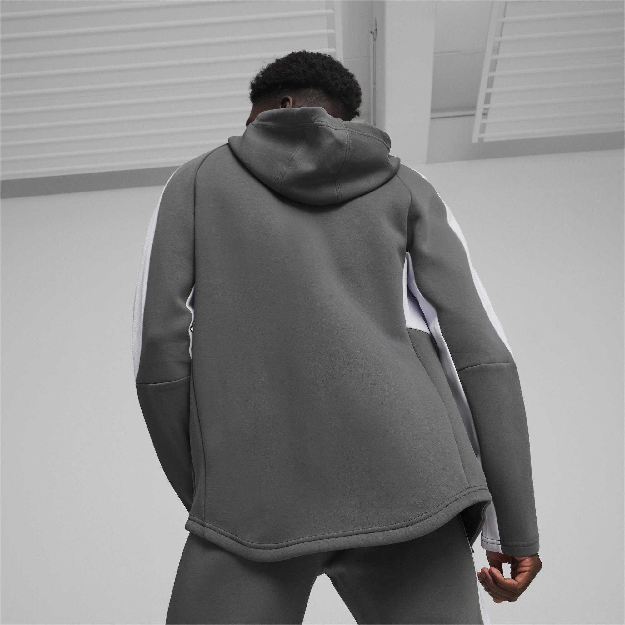 Evostripe Full-Zip Hoodie Erkek Sweatshirt