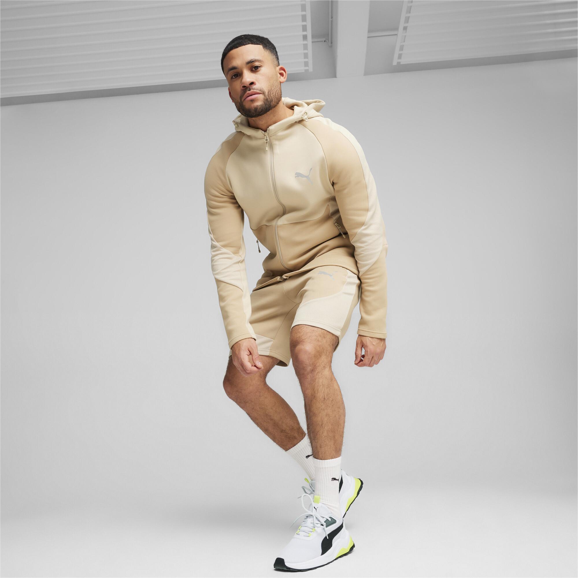 Evostripe Full-Zip Hoodie Erkek Sweatshirt