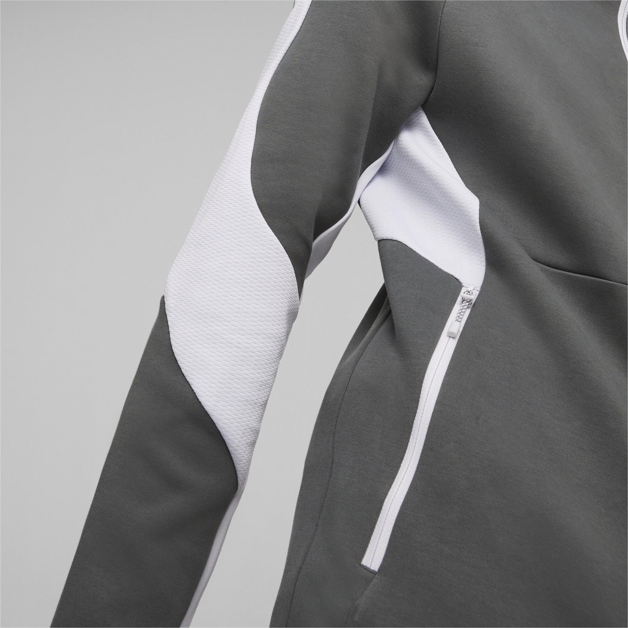 Evostripe Full-Zip Hoodie Erkek Sweatshirt
