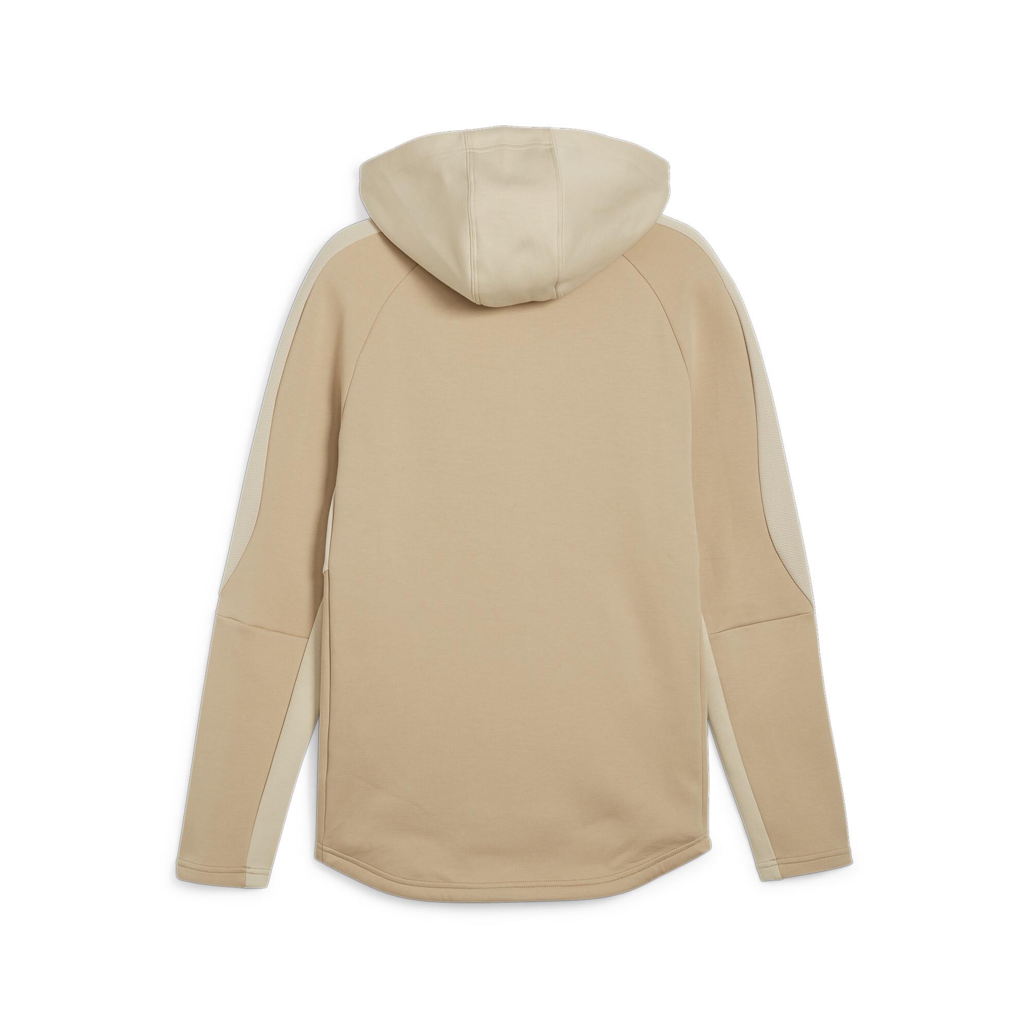 Evostripe Full-Zip Hoodie Erkek Sweatshirt