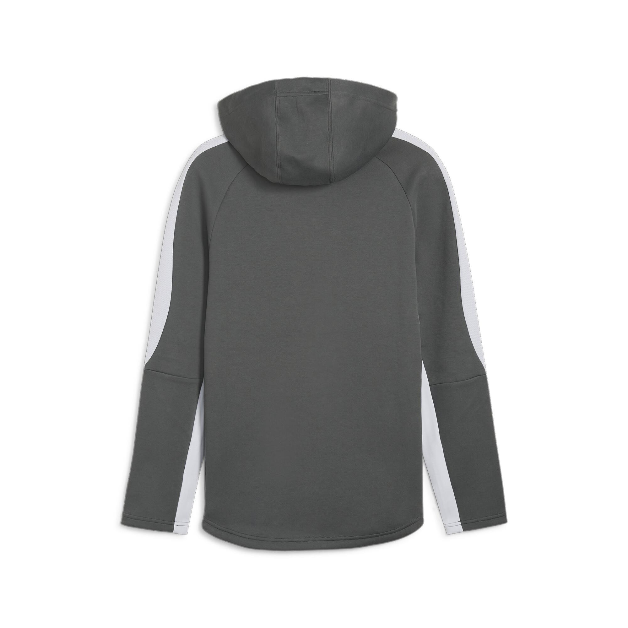 Evostripe Full-Zip Hoodie Erkek Sweatshirt