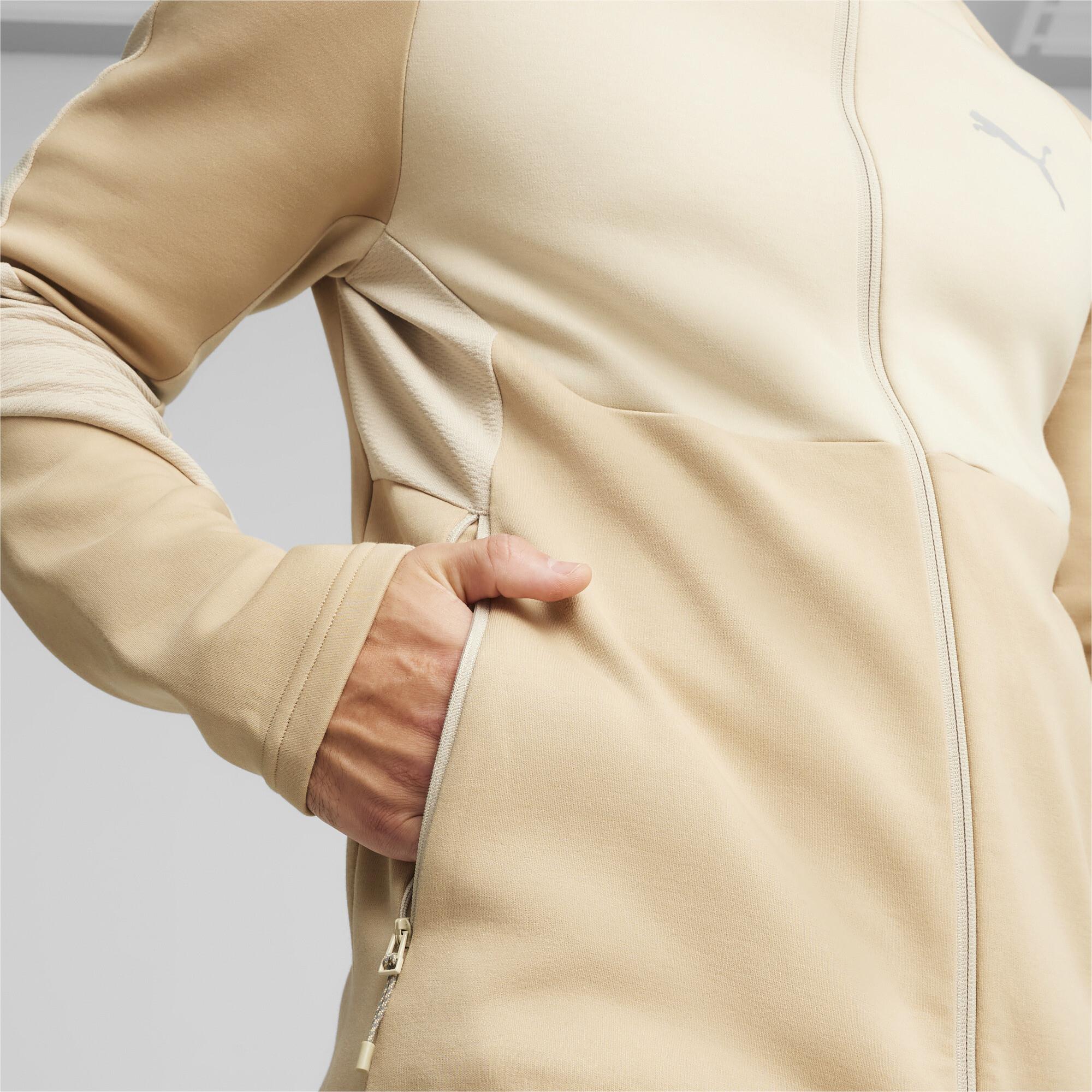 Evostripe Full-Zip Hoodie Erkek Sweatshirt