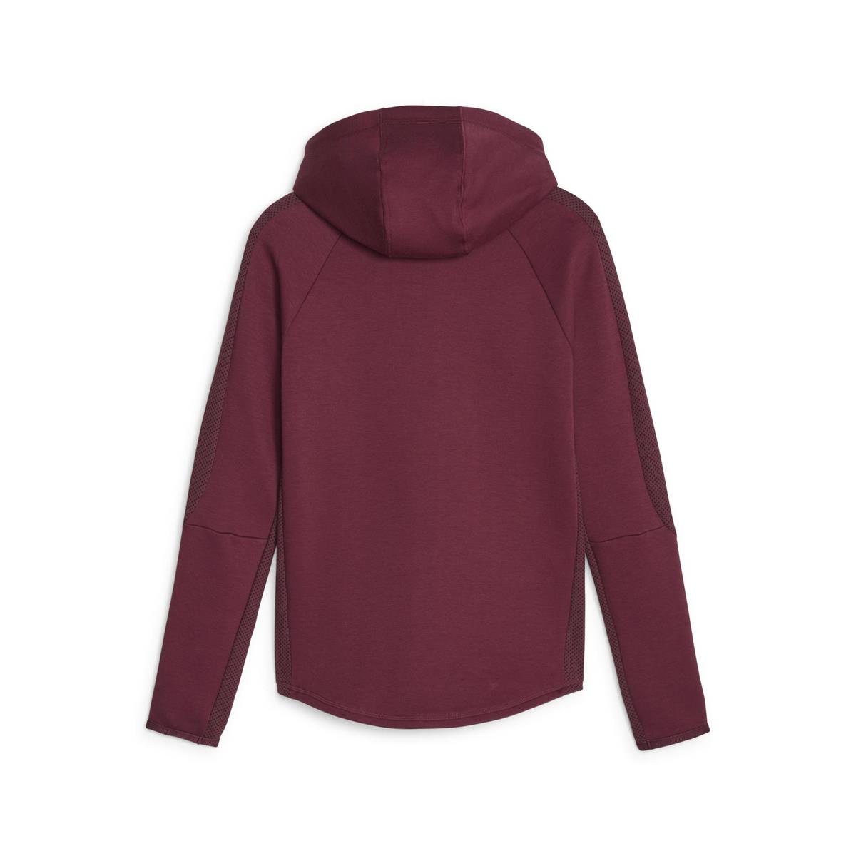 Evostripe Full-Zip Hoodie Kadın Sweatshirt