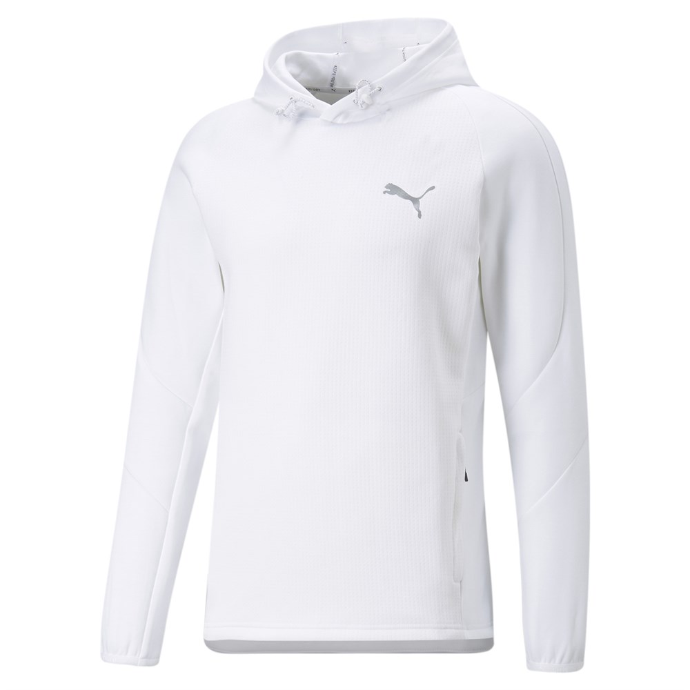 Evostripe Hoodie