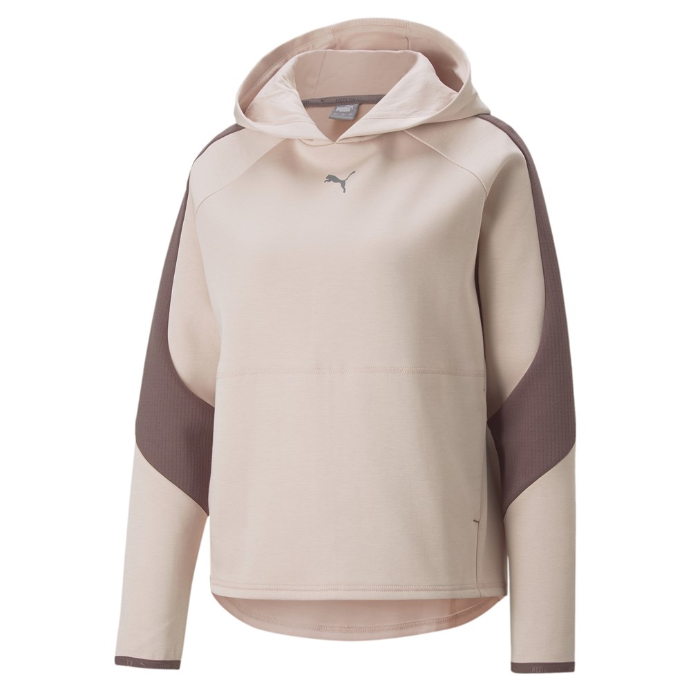 Evostripe Hoodie