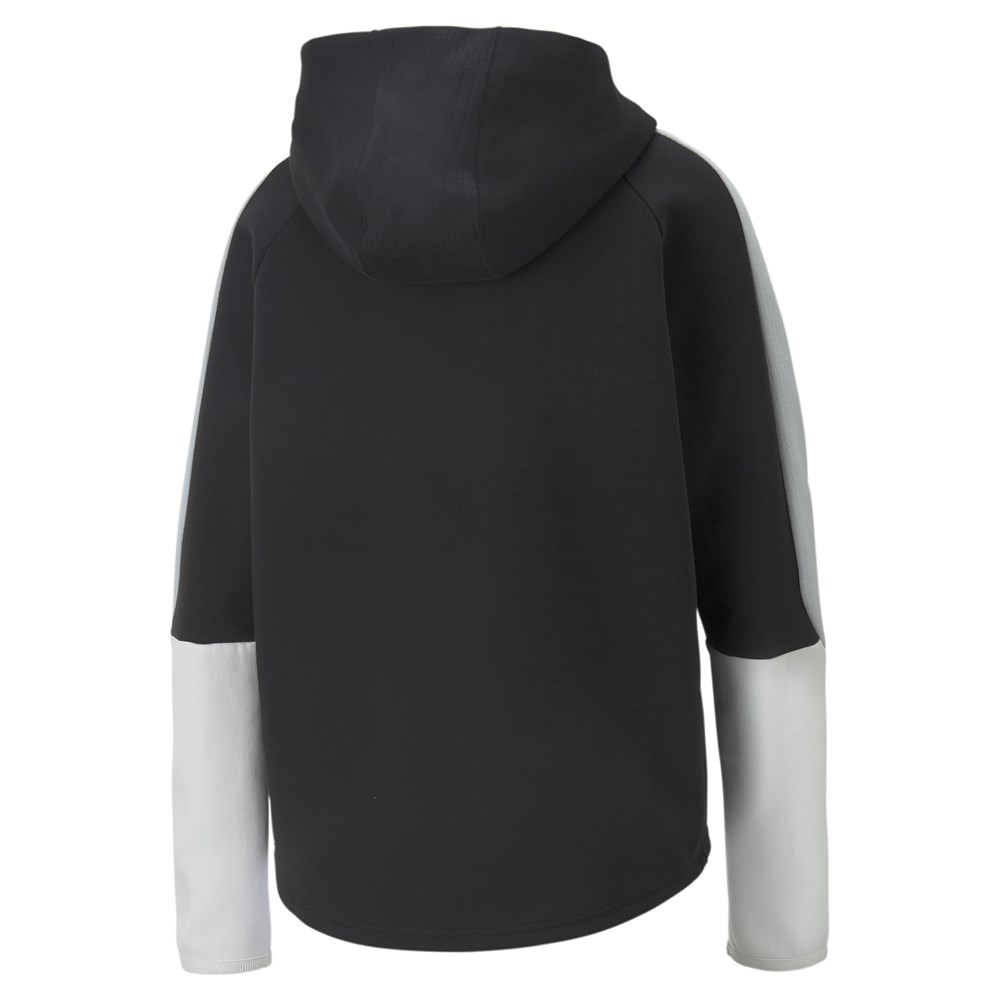 Evostripe Hoodie