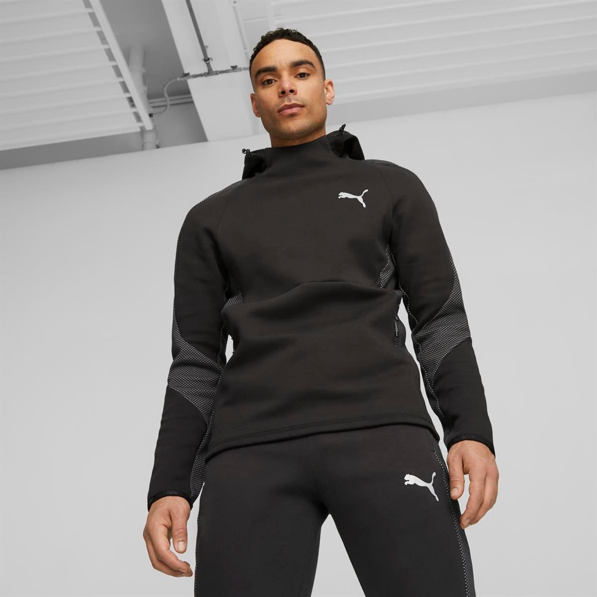 Evostripe Hoodie Dk Erkek Sweatshirt