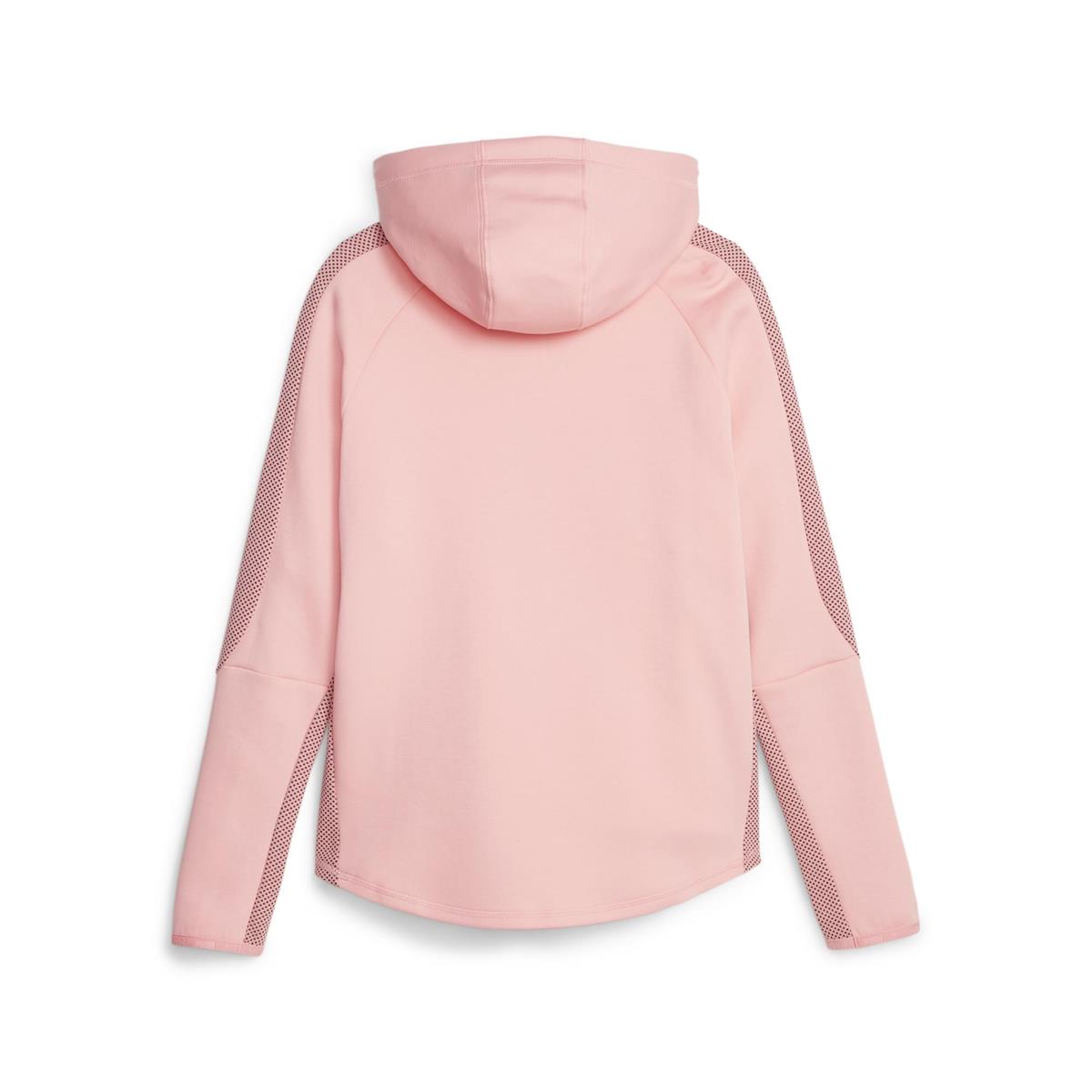Evostripe Hoodie Kadın Sweatshirt