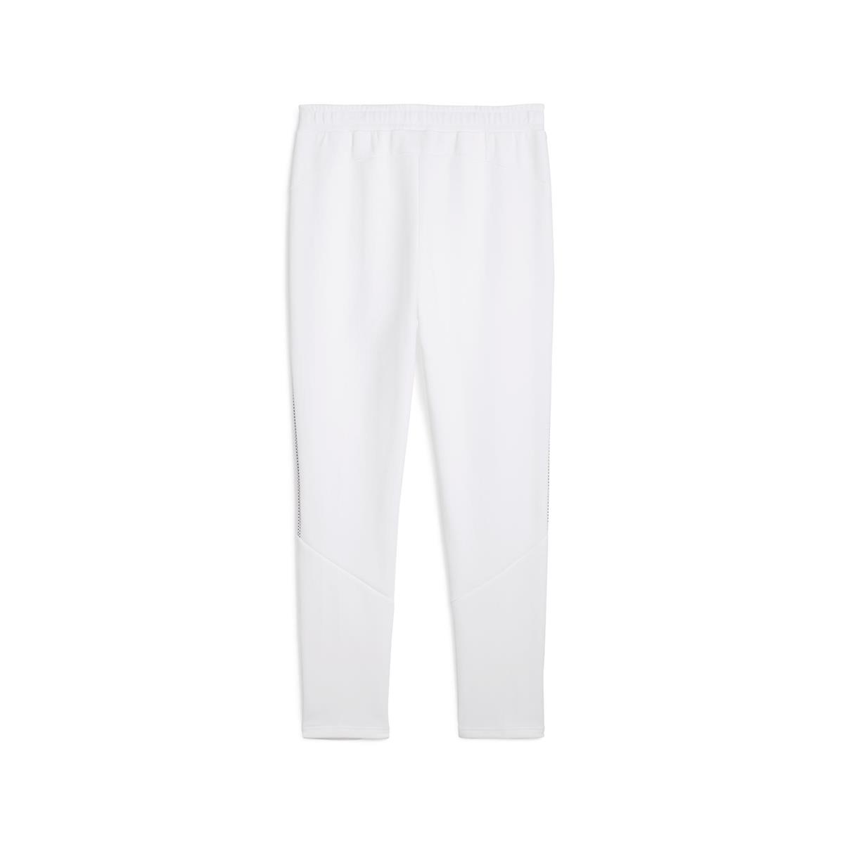 Evostripe Pants Dk Erkek Eşofman Altı