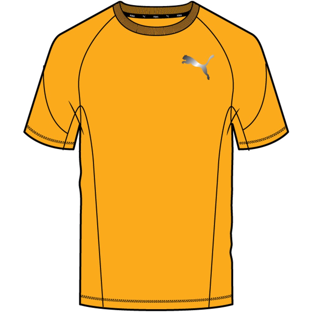 Evostripe Tee