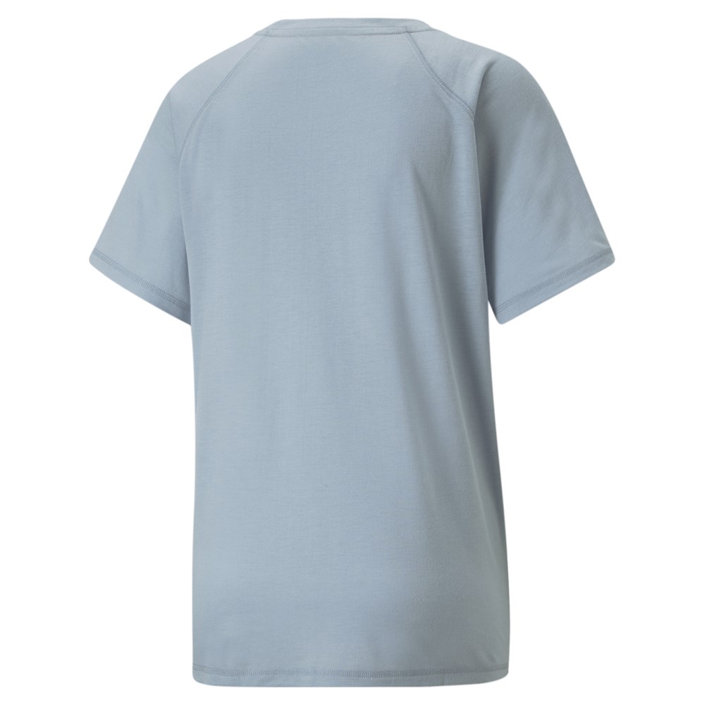 Evostripe Tee