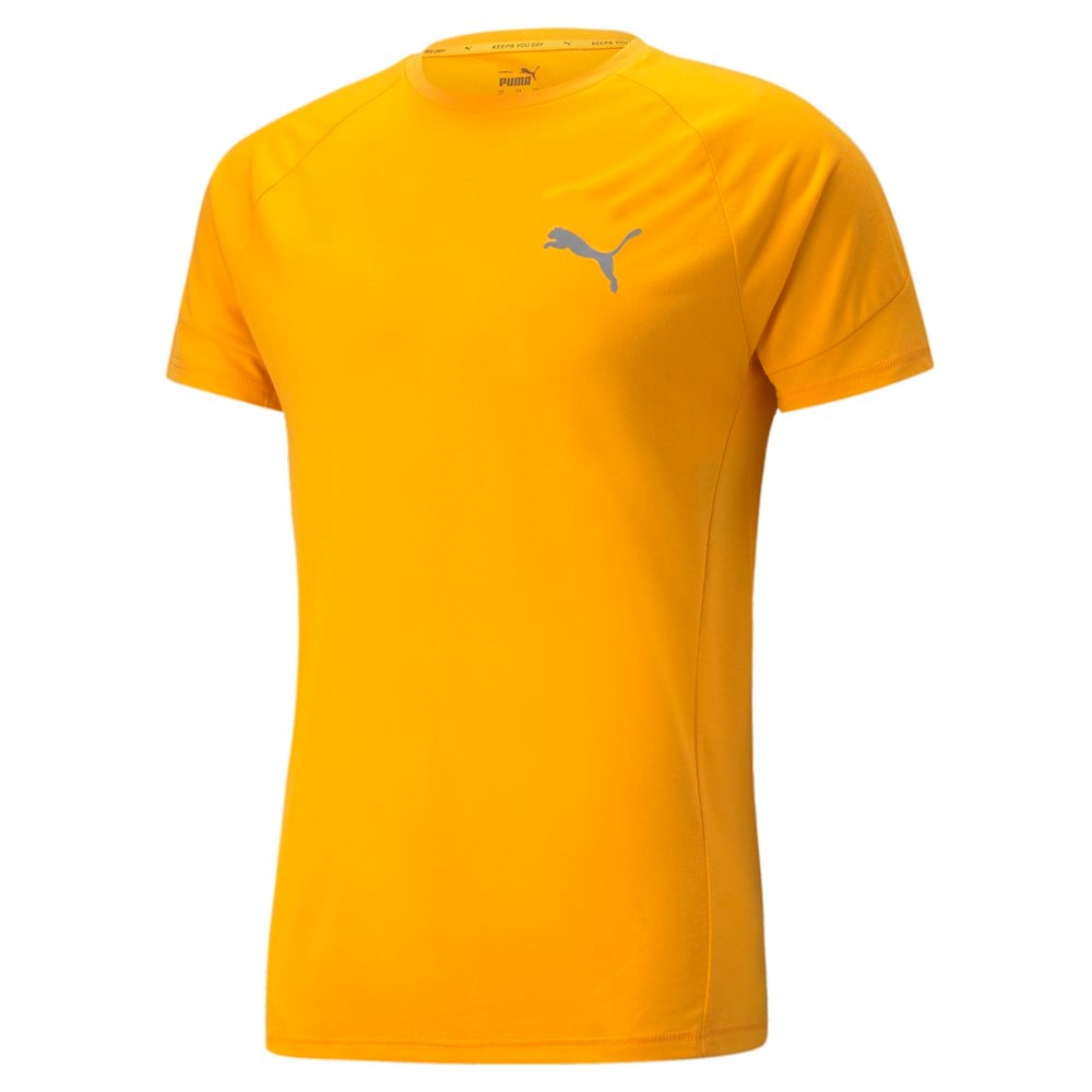 Evostripe Tee