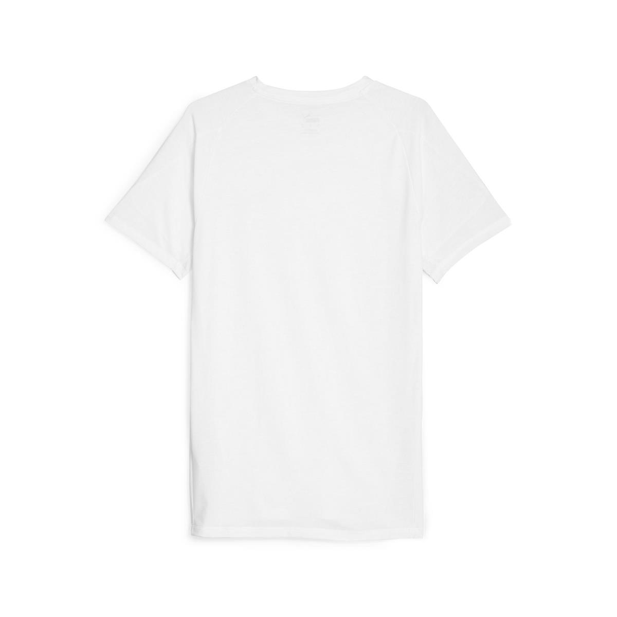 Evostripe Tee Erkek T-shirt