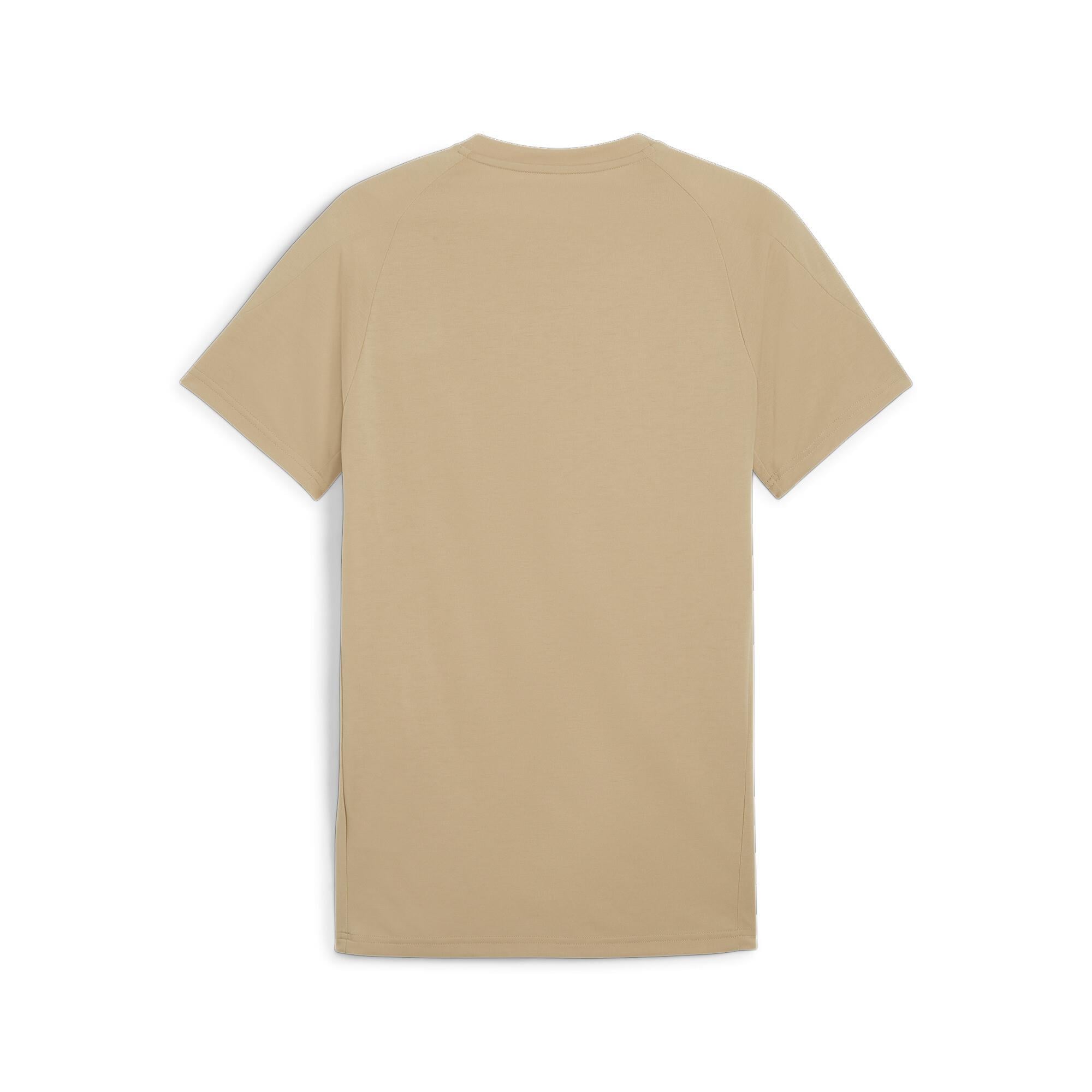 Evostripe Tee Erkek T-shirt