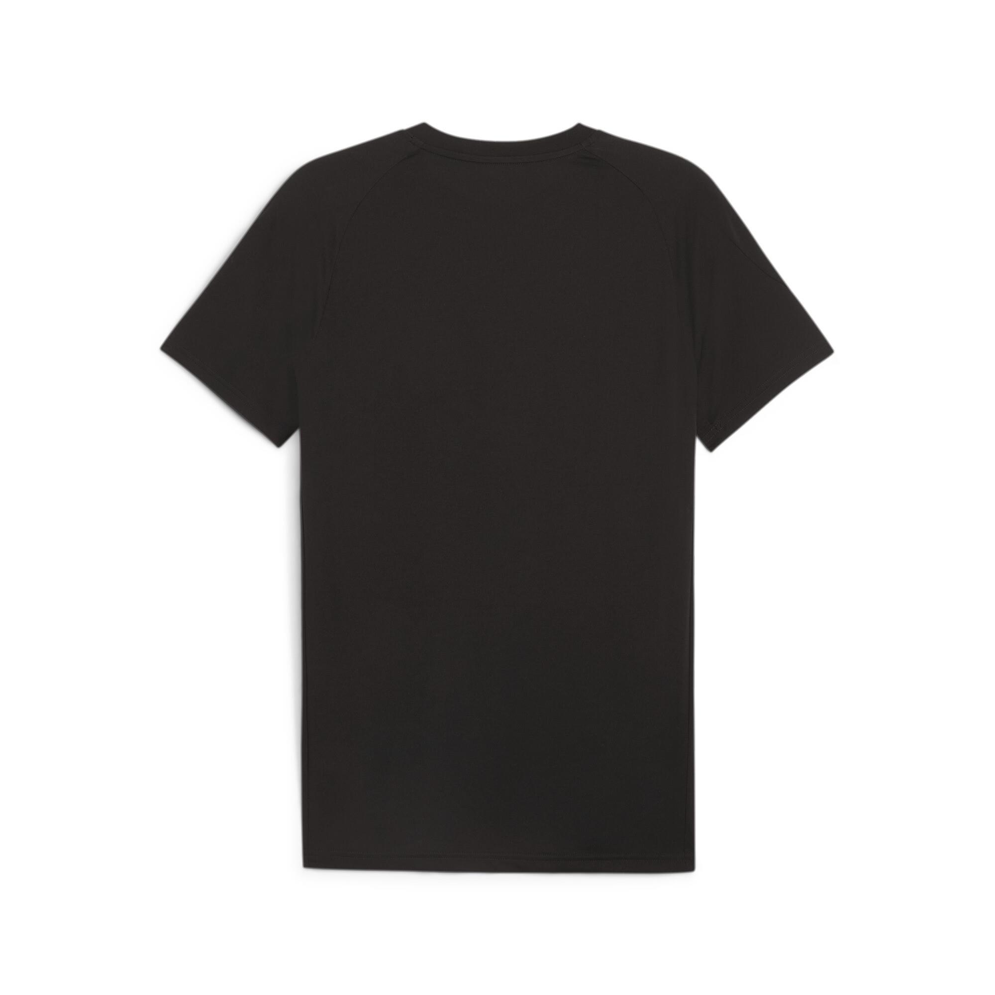 Evostripe Tee Erkek T-shirt