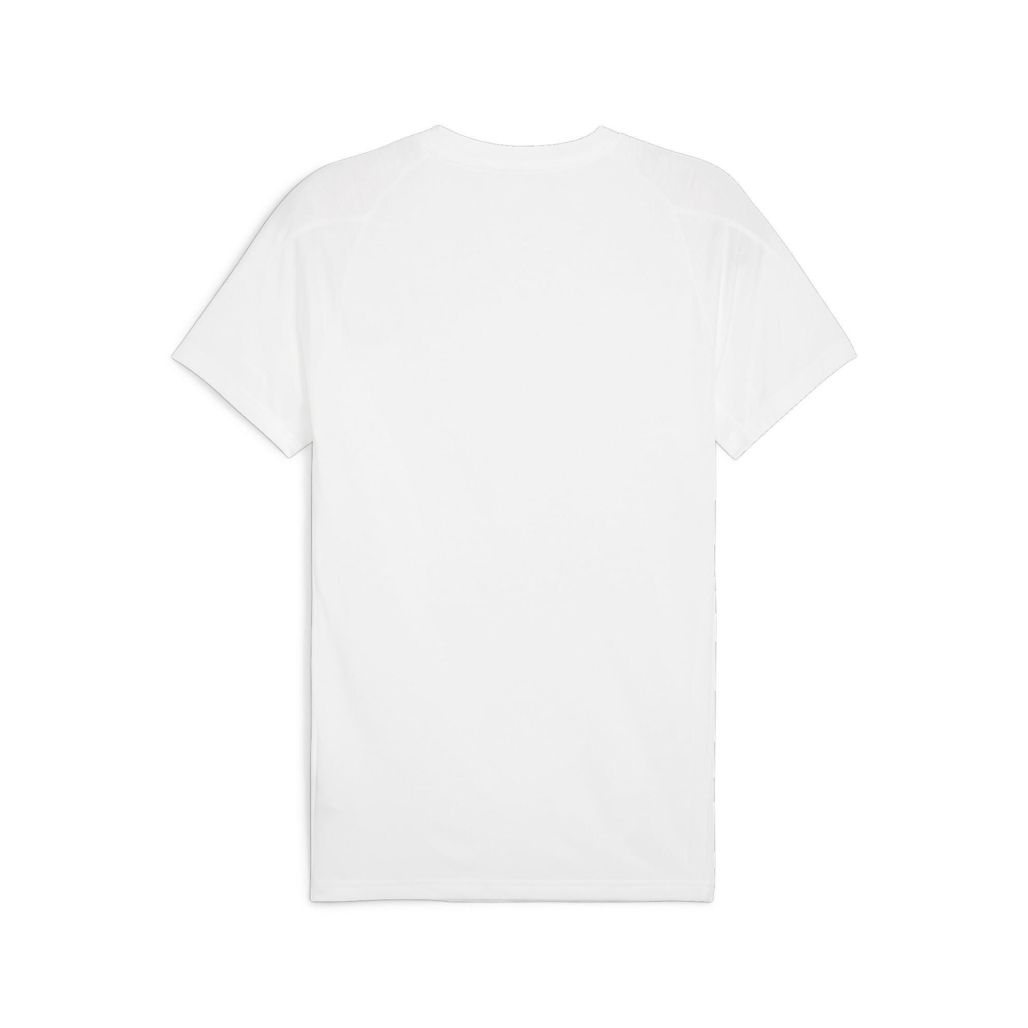 Evostripe Tee Erkek T-shirt