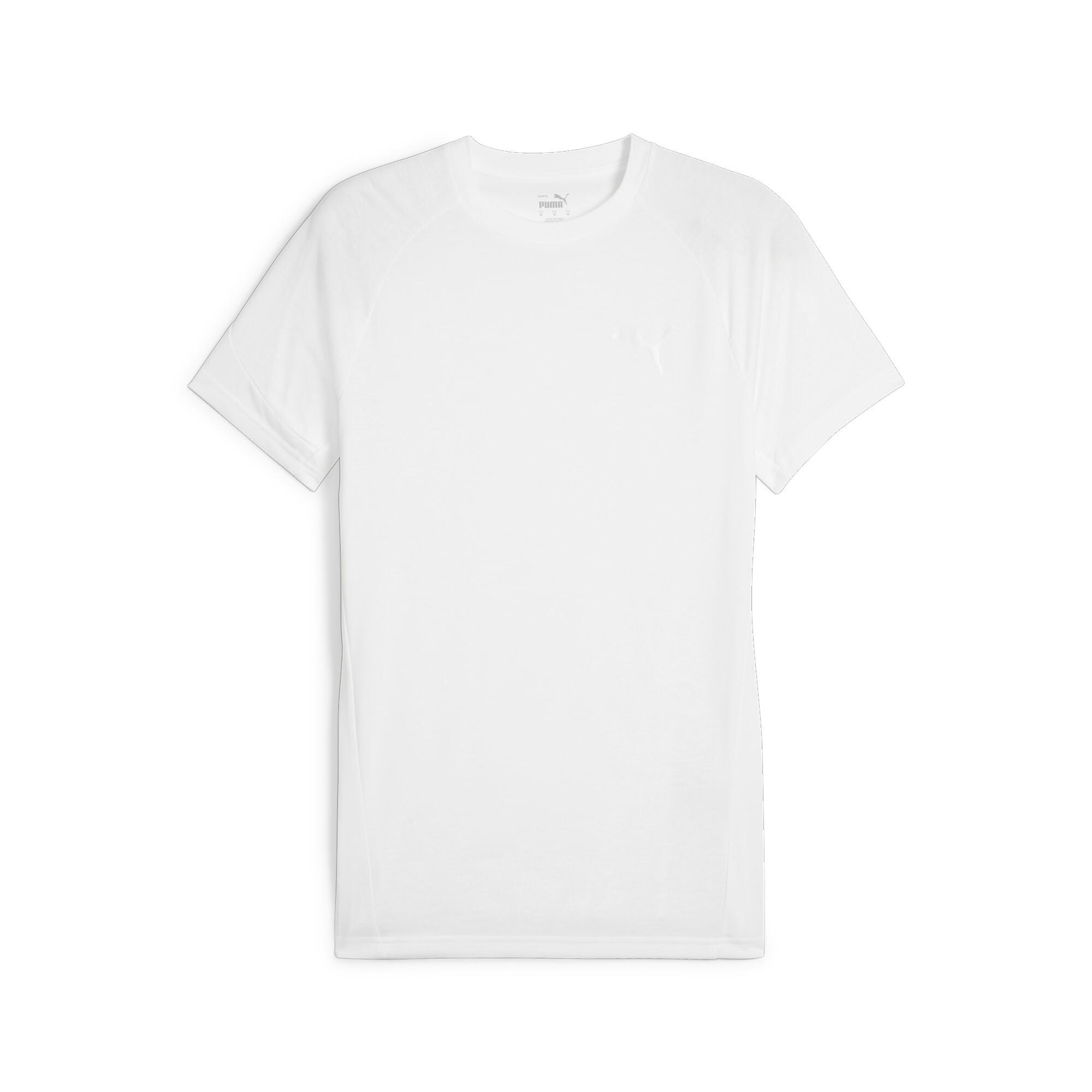 Evostripe Tee Erkek T-shirt