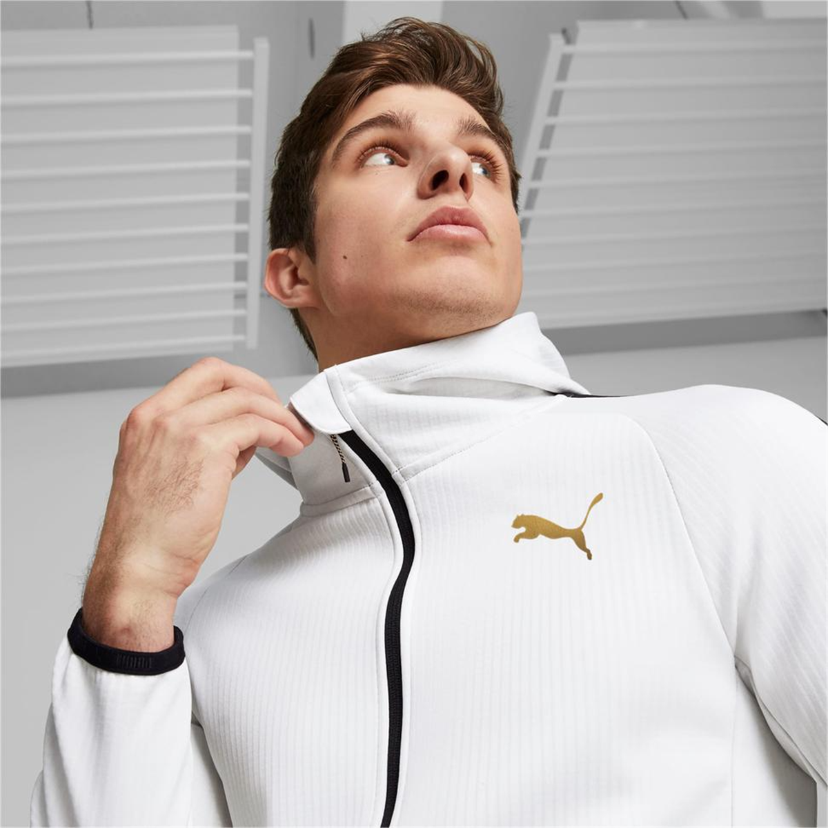 Evostripe Warm Full-Zip Hoodie
