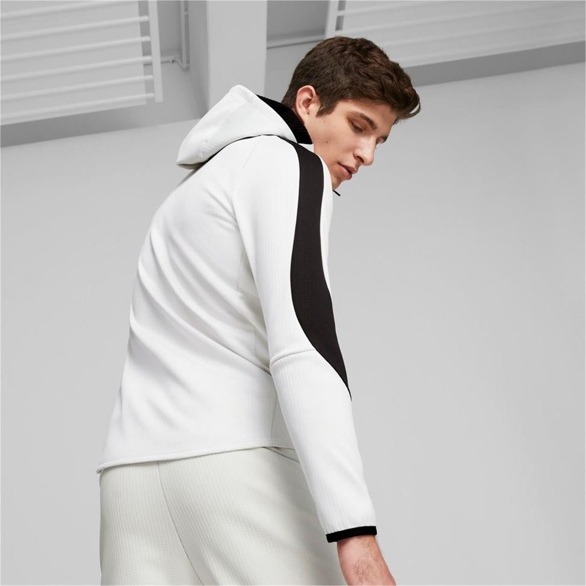 Evostripe Warm Full-Zip Hoodie