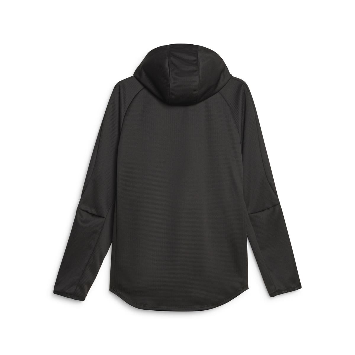 Evostripe Warm Full-Zip Hoodie Erkek Ceket