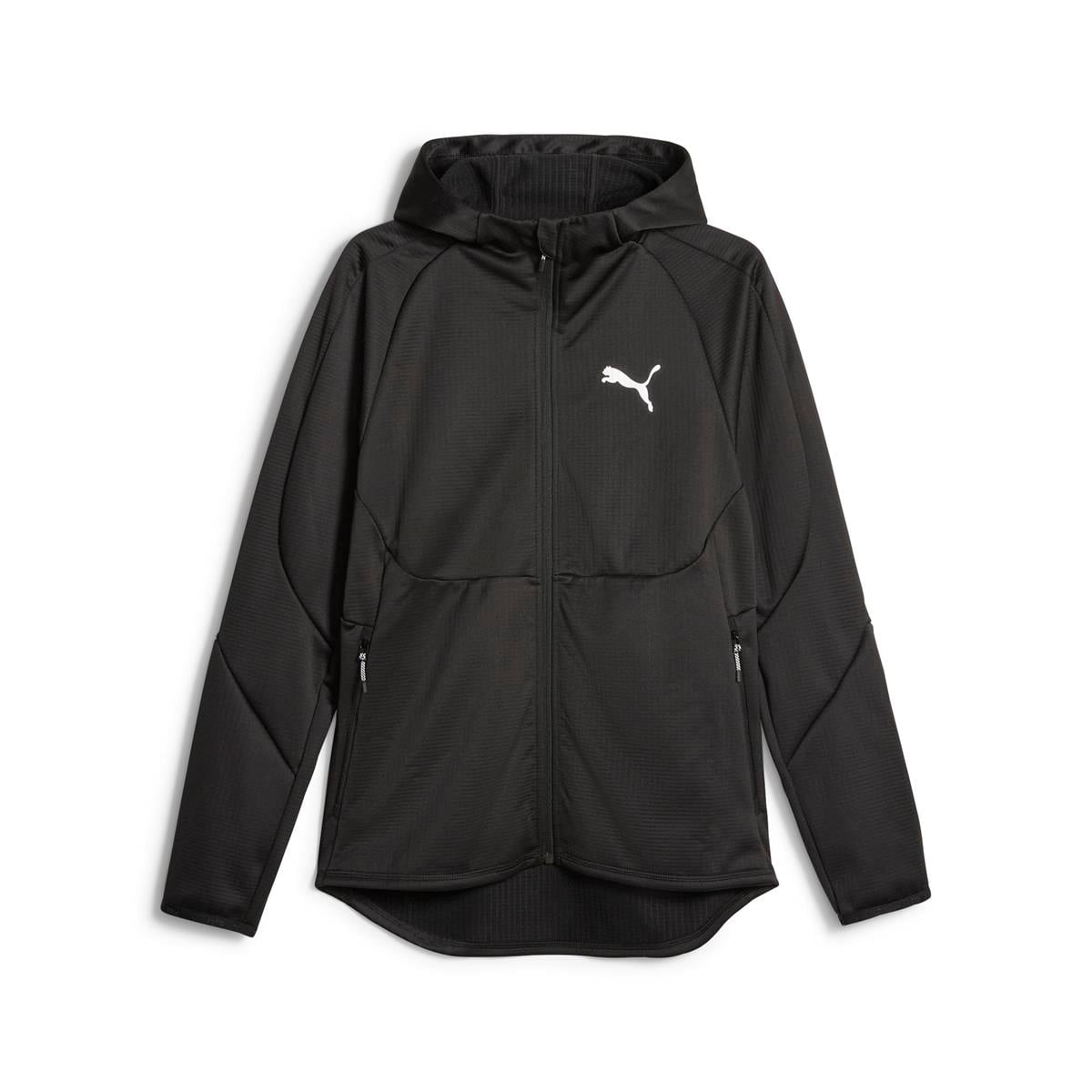Evostripe Warm Full-Zip Hoodie Erkek Ceket