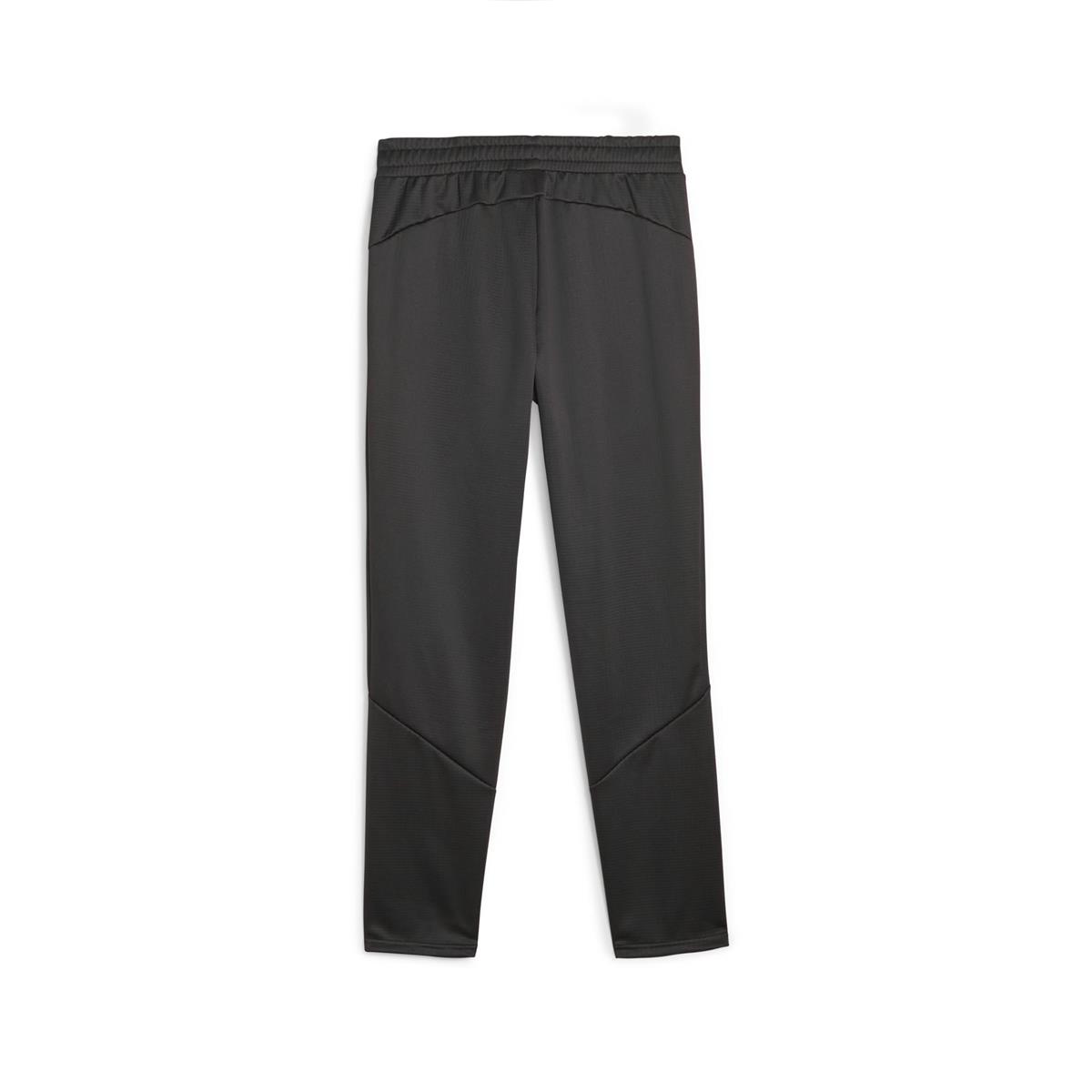 Evostripe Warm Pants Erkek Eşofman Altı