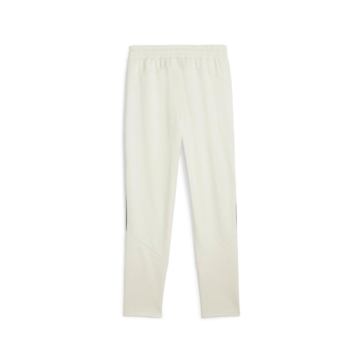Evostripe Warm Pants Erkek Eşofman Altı