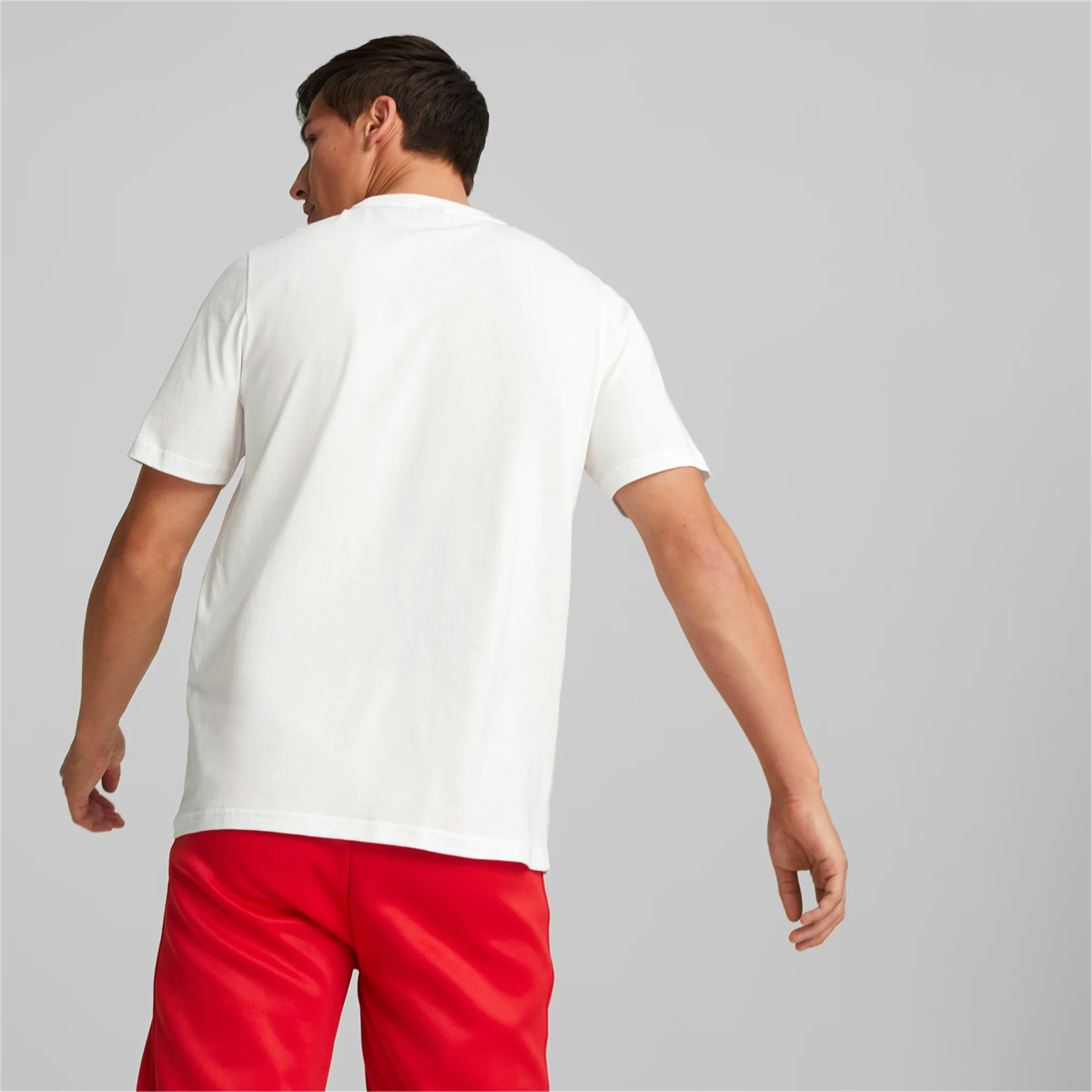 Ferrari Race Big Shield Tee