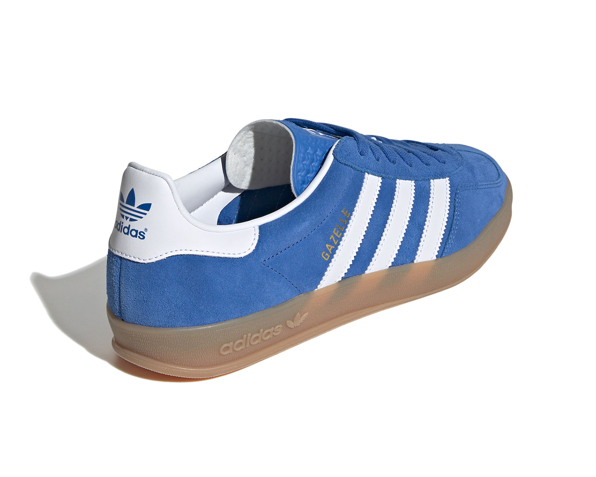 GAZELLE INDOOR