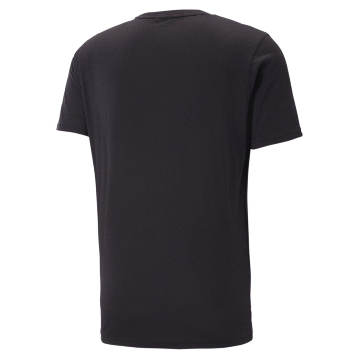 Men S Graphic Tee Concept