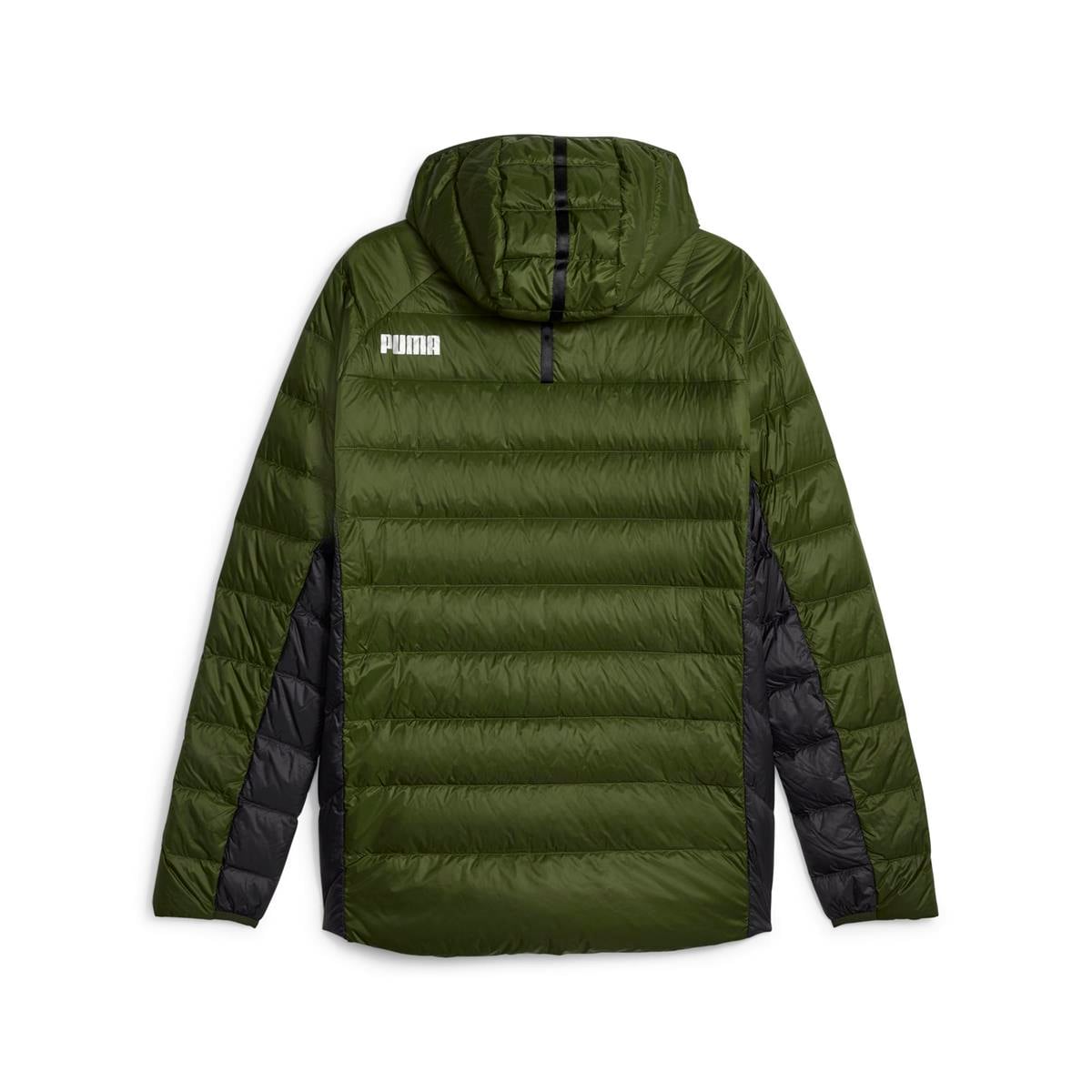 Packlite Hooded Down Jacket Erkek Mont
