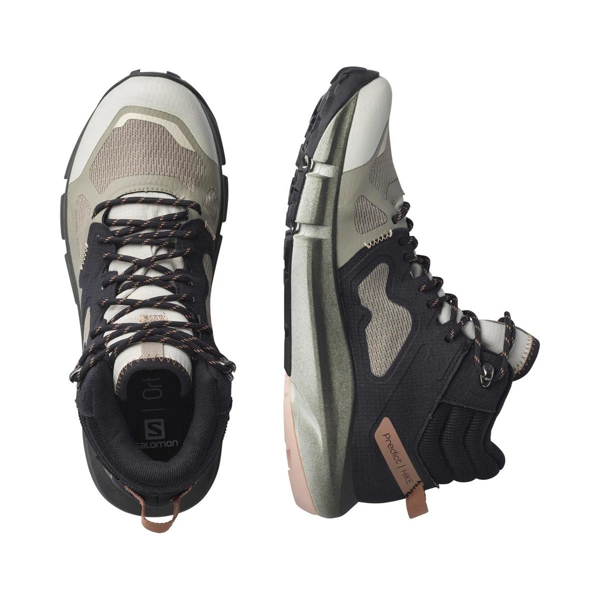 Predict Hike Mid Gtx