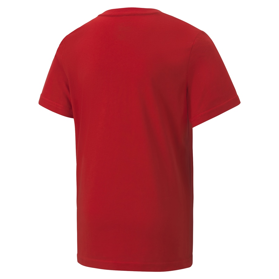 Puma Alpha Summer Tee B  Çocuk Üst & T-shirt - 58127911