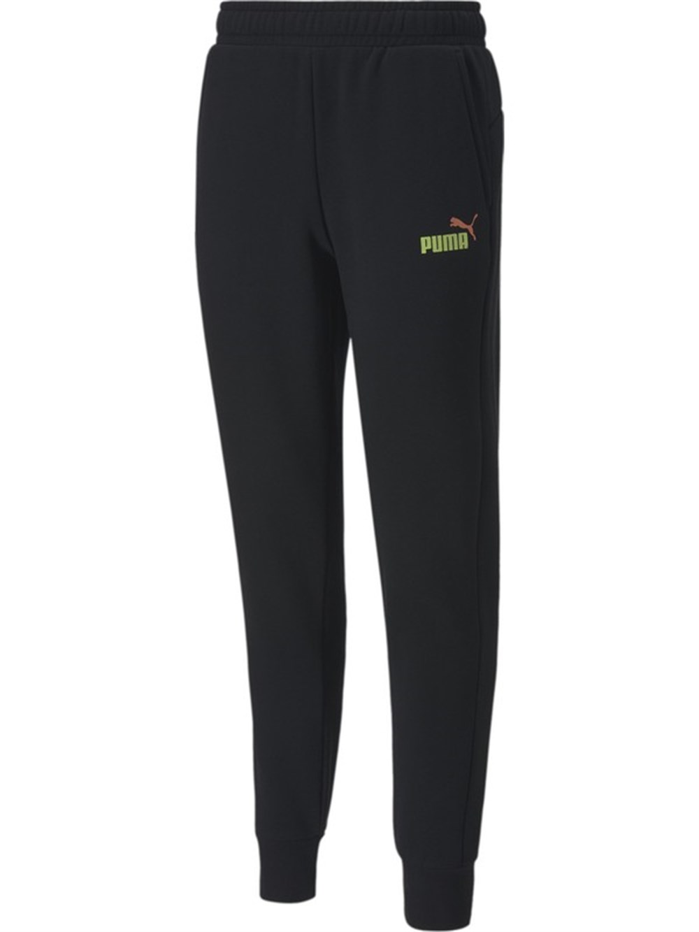 Puma Ess 2 Col Logo Pants Fl Erkek Eşofman Altı - 58357051