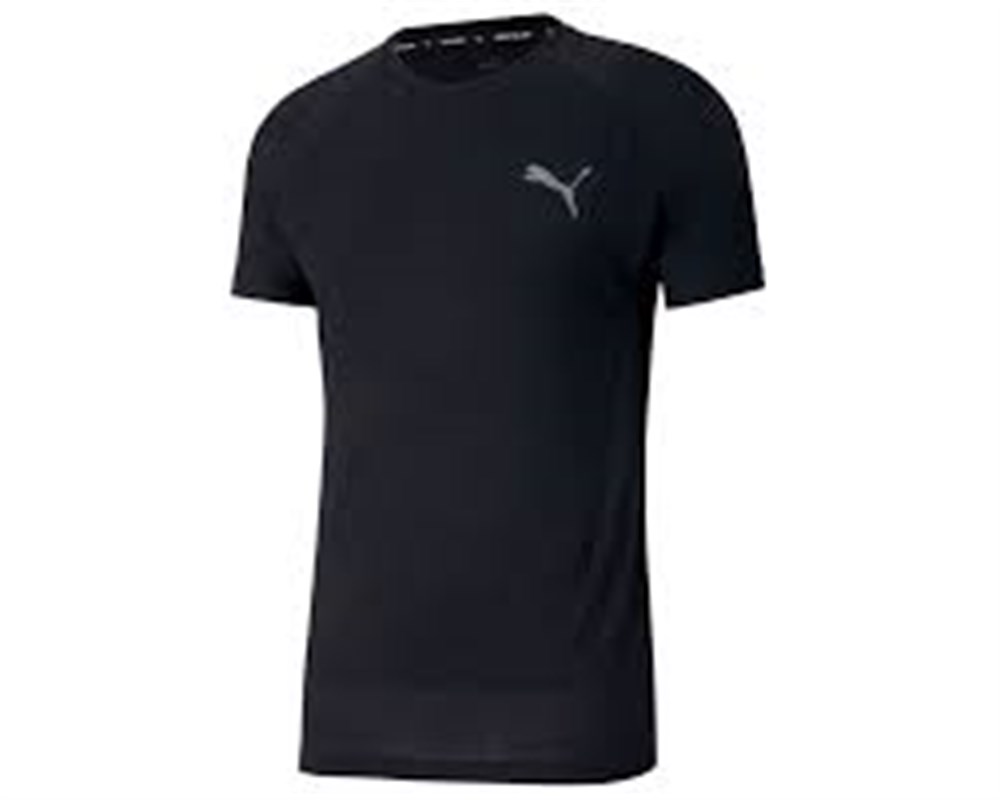 Puma Evostrıpe  Tee Erkek Üst & T-shirt - 58346201