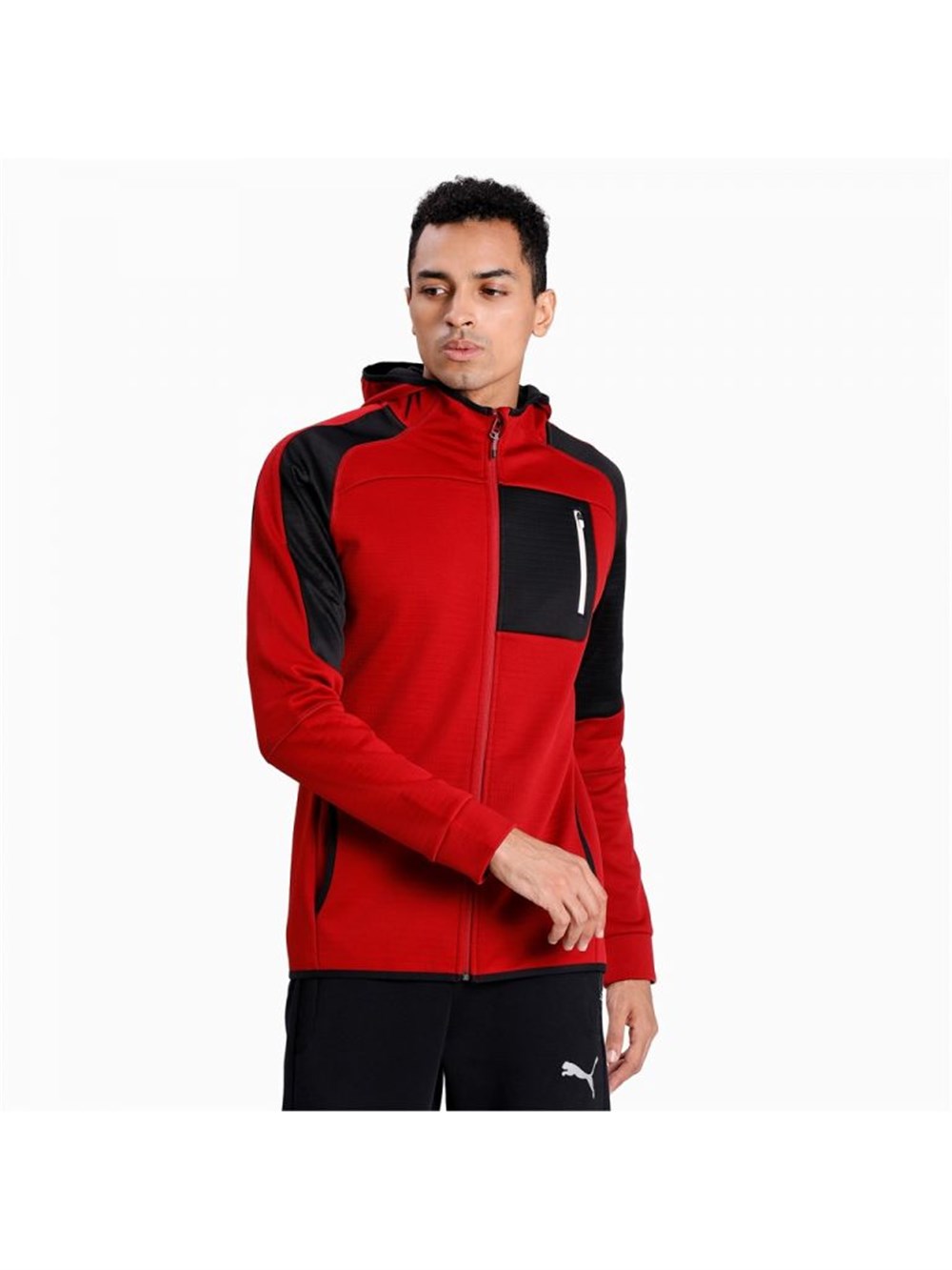 Puma Evostrıpe Fz Warm Hoodie Erkek Sweatshirts - 58347250